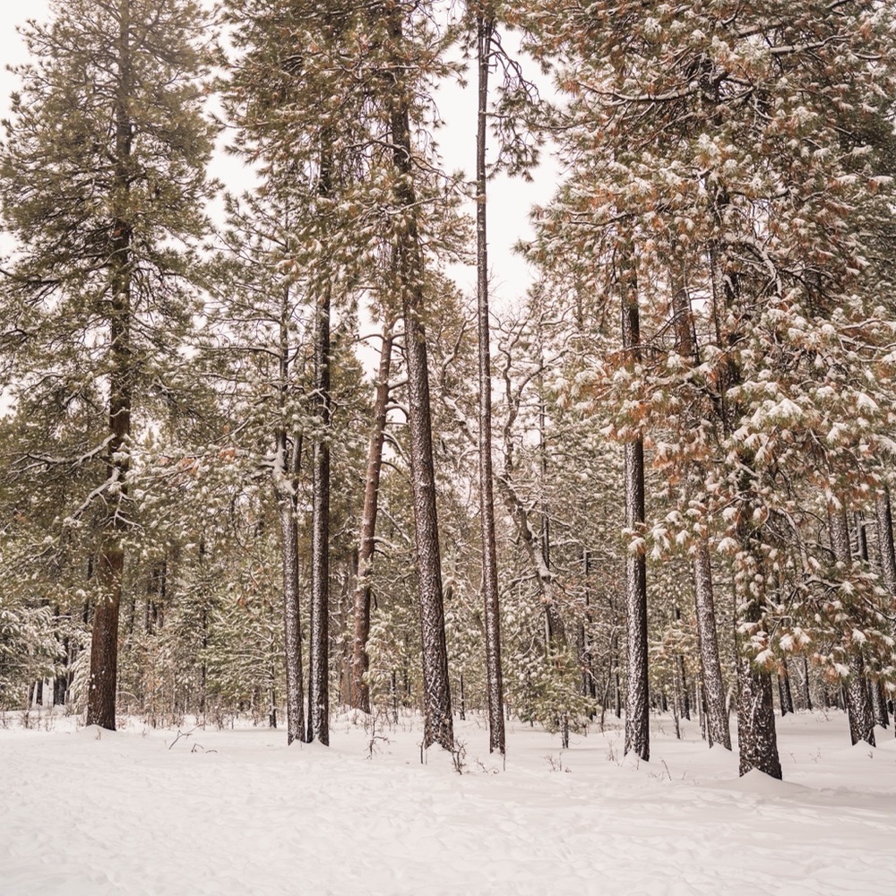 Meet your Posher, Joshua